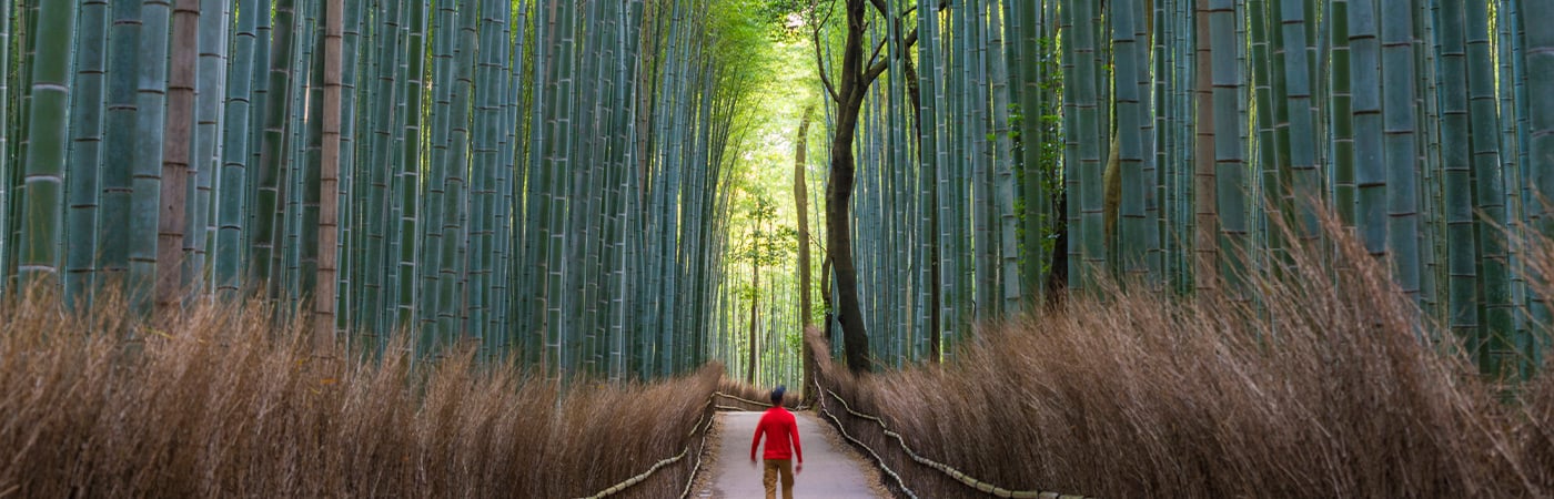 Man walking through dense forest